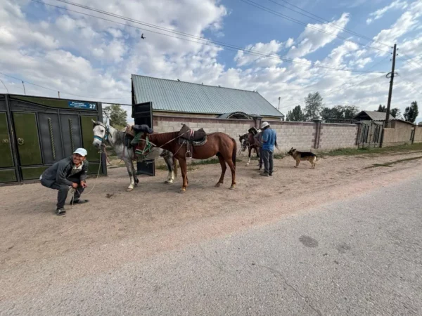 Preparing for departure on a horse trek to son kul lake 