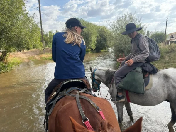 horses on a Water break during a riding tour in kyrgyzstan