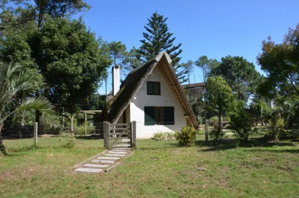 Rudimentary hut with thatch roof in la paloma, uruguay