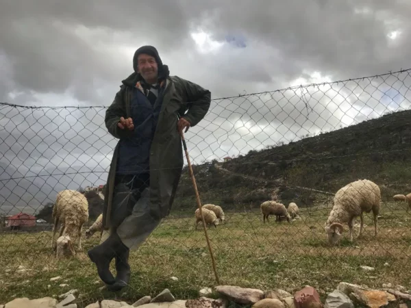 Βοσκός στο Λαζαράτι
