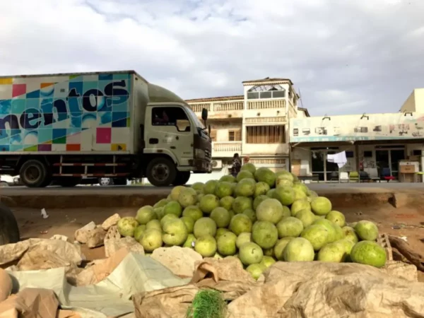 Πουλώντας καρύδες στον δρομο μπουρ σενεγάλη