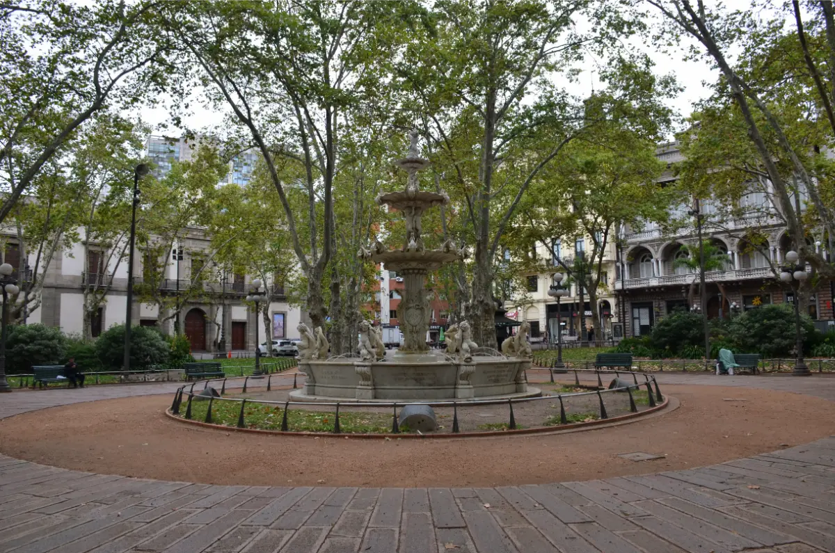 Fountain under plane trees in the center of Plaza de la Constitución in montevideo
