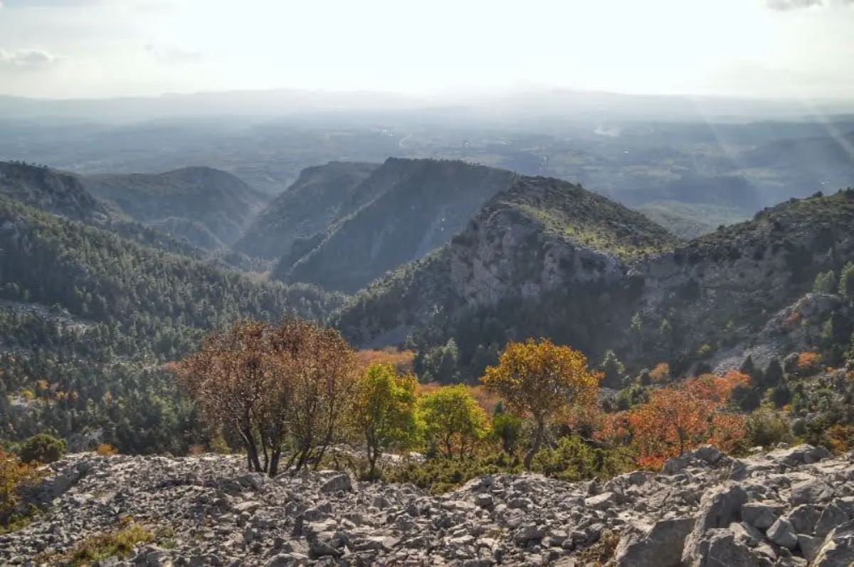 View of agali gorge on evia from above