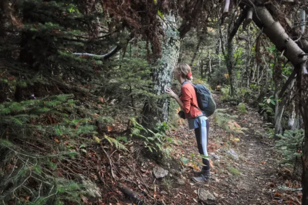 Hiking in forest of steni village, evia island
