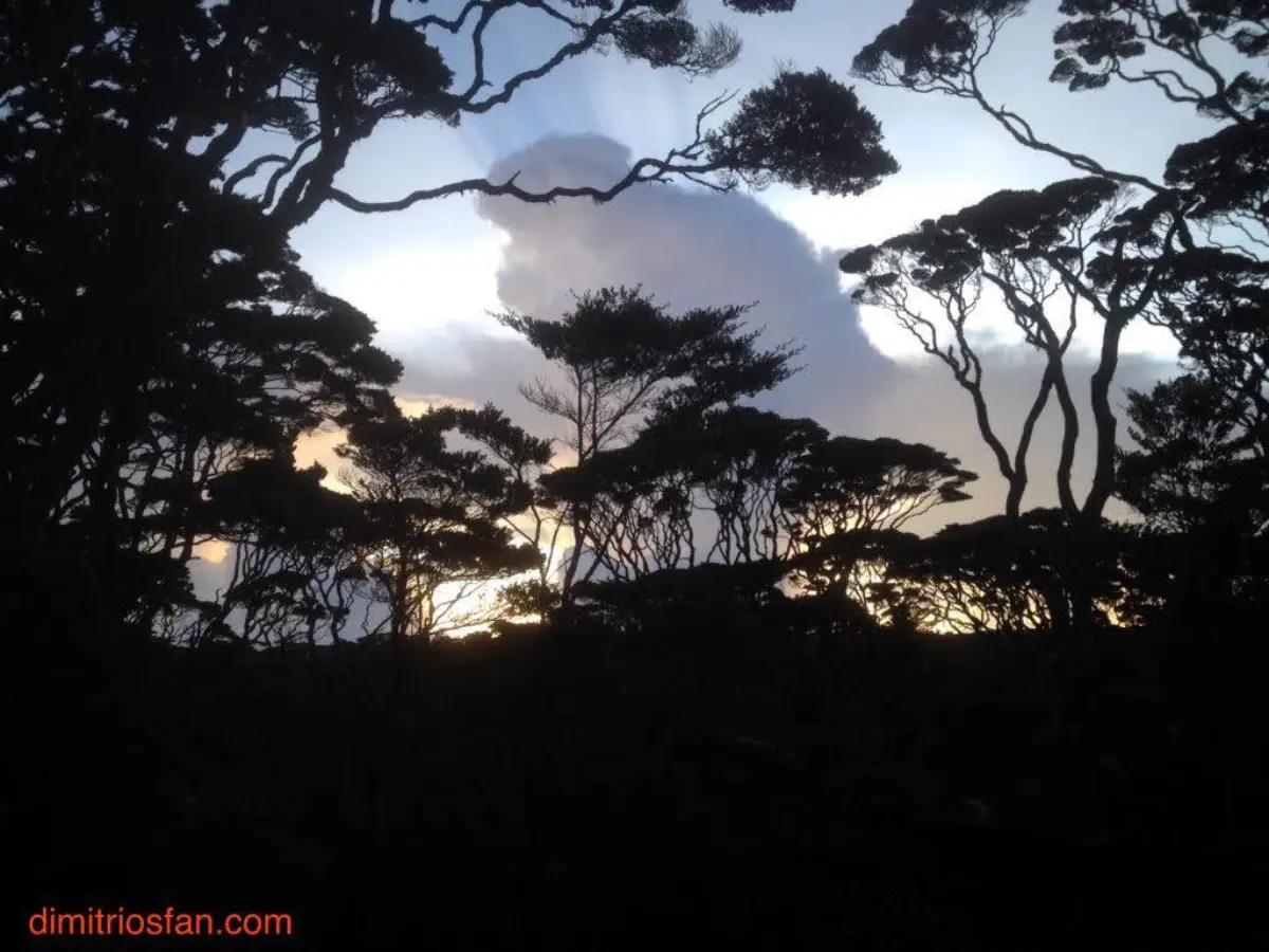 Photos: Mount Singgalang, West Sumatra, Indonesia (2016)