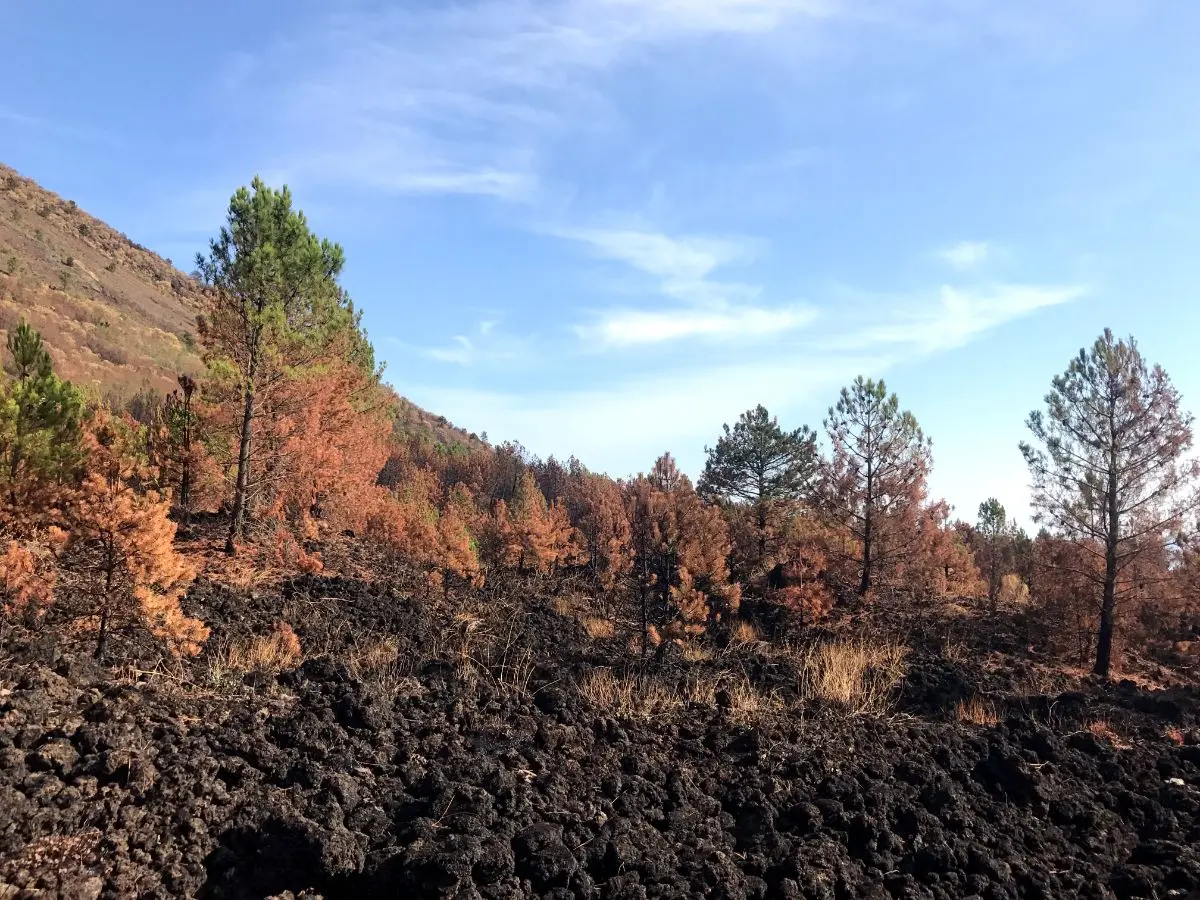 Photos: Mount Vesuvius, Campania, Italy (2017)