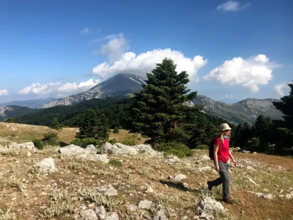 Hiker in a red shirt walking through rocky terrain with green pine trees against the backdrop of Mount Xerovouni, Euboea, Greece.