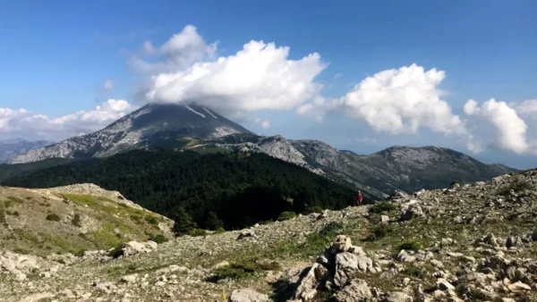 A panoramic view of Mount Xerovouni, showcasing rocky terrain and lush greenery against a clear blue sky in Euboea, Greece.
