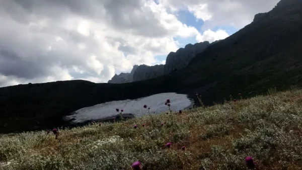Vibrant wildflowers in the foreground lead to majestic Mount Xerovouni under a cloudy sky in Euboea, Greece.