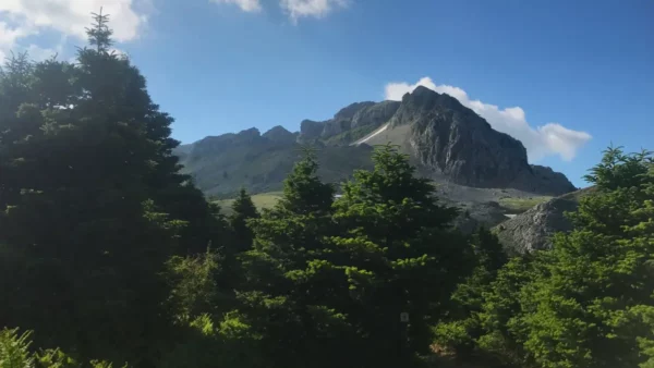 Majestic Mount Xerovouni rises above lush green trees under a clear blue sky in Euboea, Greece, showcasing stunning natural beauty.