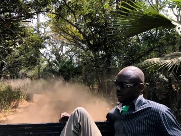 οδηγώντας αγροτικό mitsubishi l200 σε εθνικό πάρκο της σενεγάλης