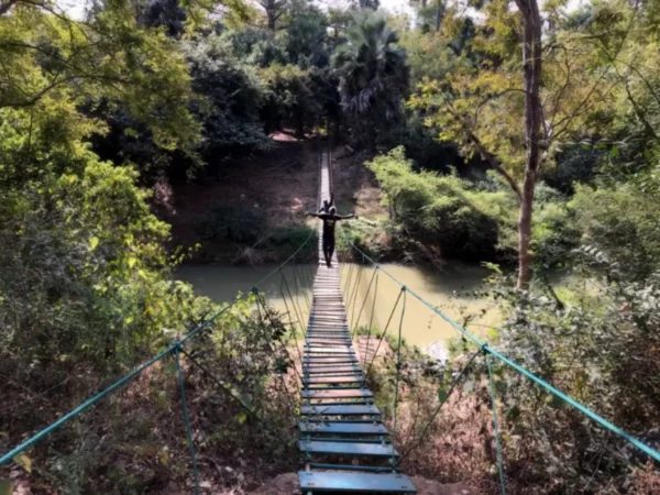 Γέφυρα υπέρ του ποταμού Γκάμπια στο εθνικό πάρκο νιοκόλο κόμπα στην σενεγάλη