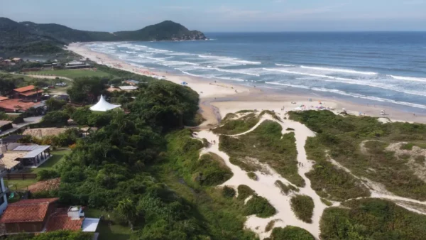 Stunning aerial view of Praia do Rosa, highlighting the sandy beach, lush greenery, and rolling waves under a clear sky in Santa Catarina, Brazil.