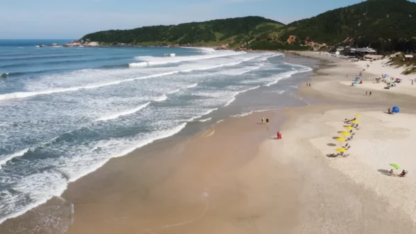 Pristine beach waves gently lap at the shore, with sunbathers enjoying Praia do Rosa in Santa Catarina, Brazil.