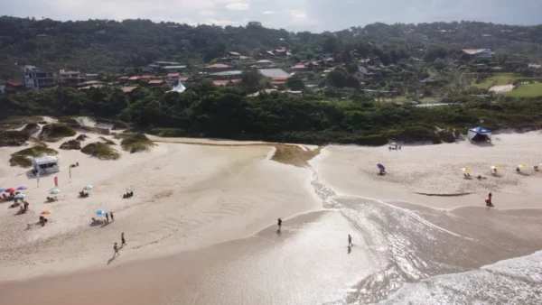 Sunlight reflects on soft sand at Praia do Rosa, Santa Catarina, with beachgoers enjoying the tranquil scenery and lush hills in the background.