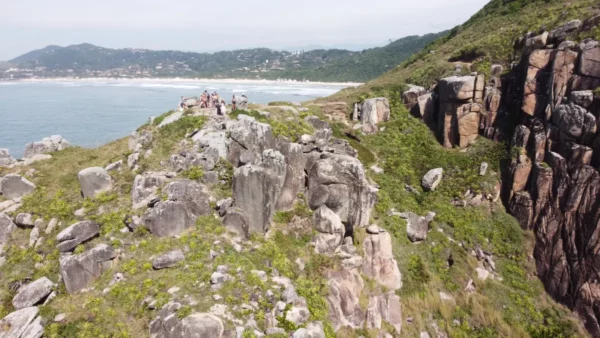 Rugged rocks and lush greenery overlook the stunning Praia do Rosa beach in Santa Catarina, Brazil, with waves gently lapping the shore.