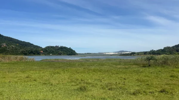 Praia do Rosa features a vibrant green landscape with a serene lagoon and distant hills under a clear blue sky in Santa Catarina, Brazil.