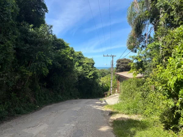 Lush greenery lines a winding road leading towards the serene coastline of Praia do Rosa, Santa Catarina, Brazil.