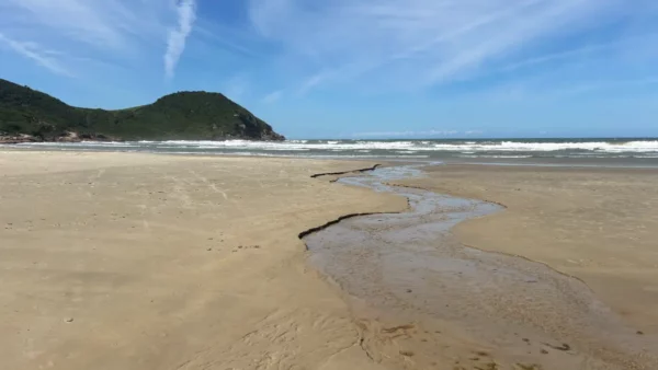 Winding stream through sandy beach with gentle waves and lush green hills under a bright blue sky at Praia do Rosa, Santa Catarina.