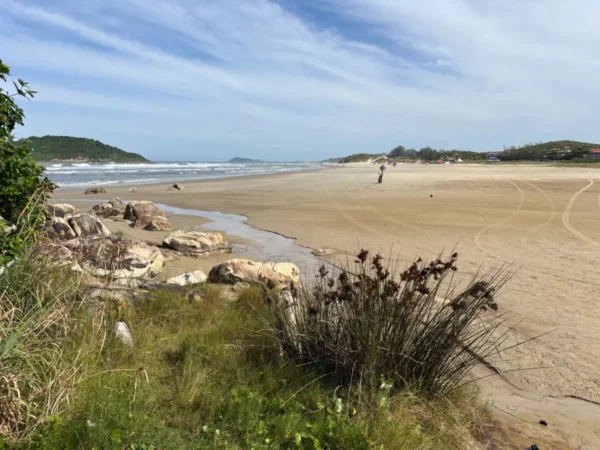 Waves gently lap the sandy shore at Praia do Rosa, Santa Catarina, with lush greenery and rocky outcrops in the foreground.