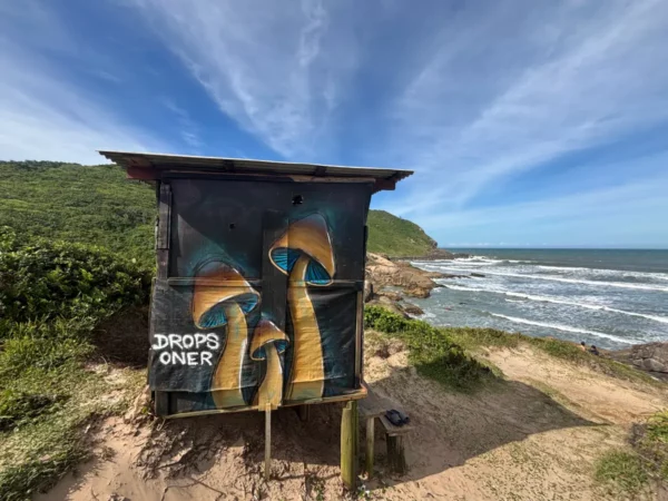 wooden shack with painted psychedelic mushrooms above Praia do Luz at praia do rosa, santa catarina
