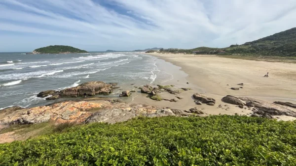 Lush greenery meets sandy shores at Praia do Rosa in Santa Catarina, Brazil, with gentle waves lapping against rocky outcrops.