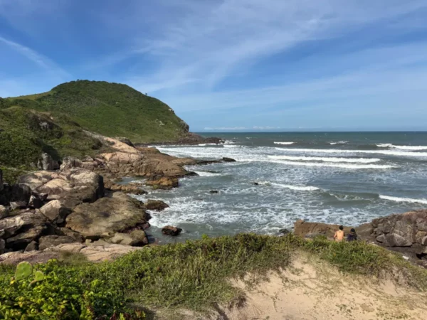 Praia do Rosa in Santa Catarina features sandy shores, rolling waves, and lush green hills under a clear blue sky.