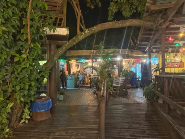 Cozy outdoor dining area with vibrant lights and lush greenery at Praia do Rosa, Santa Catarina, Brazil.