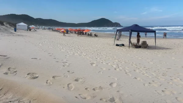 Sunny Praia do Rosa beach in Santa Catarina, Brazil, features diverse beach umbrellas, gentle waves, and sandy shores.