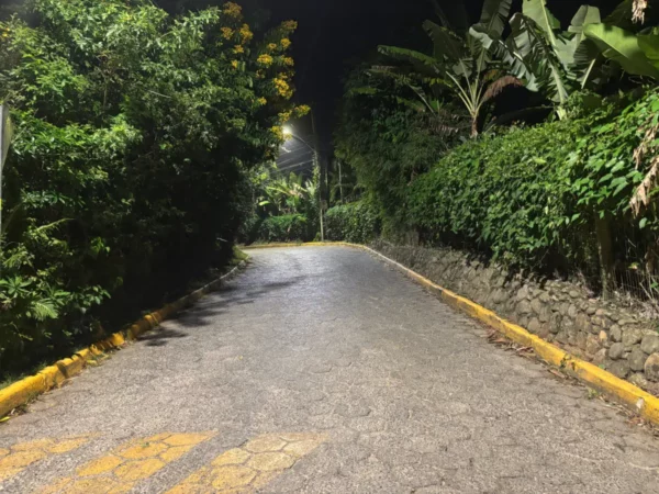 Lush greenery lines a quiet, illuminated path at night in Praia do Rosa, Santa Catarina, Brazil, creating a serene atmosphere.