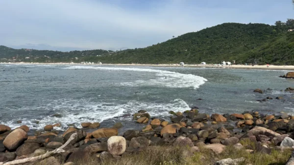 Waves crash over rocky shorelines at Praia do Rosa, surrounded by lush greenery and vibrant coastal scenery in Santa Catarina, Brazil.