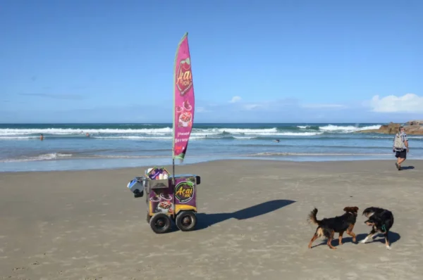 Colorful beach cart stands on the sandy shore of Praia do Rosa, with two dogs playing nearby and waves gently crashing in the background.