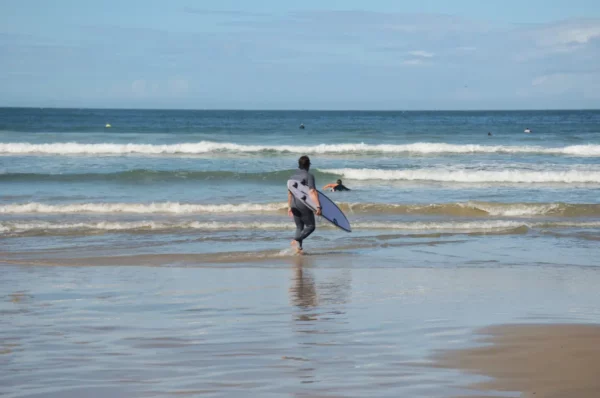 Surfer walking towards the waves at Praia do Rosa in Santa Catarina, Brazil, with gentle surf and clear blue skies.