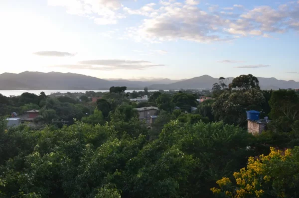 Lush greenery with vibrant yellow flowers in the foreground, overlooking the hills and tranquil waters of Praia do Rosa, Santa Catarina.
