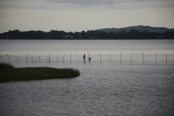 Silhouettes of two people wading through calm waters at Praia do Rosa, Santa Catarina, Brazil, framed by distant mountains and clouds.