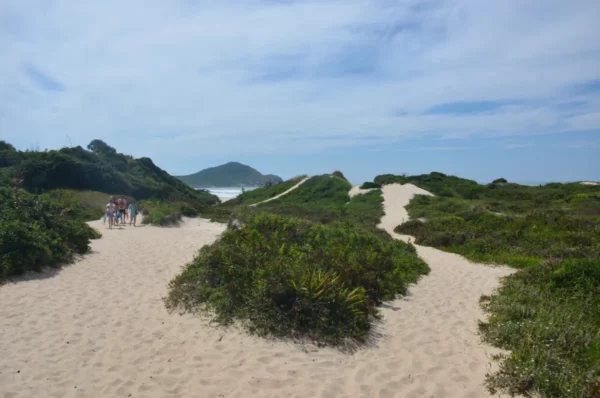 Pristine sand dunes covered with lush greenery lead to the serene Praia do Rosa in Santa Catarina, Brazil.