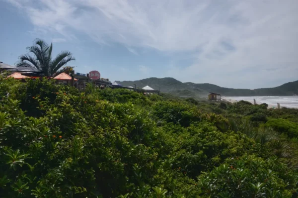 Lush greenery and palm trees frame the beachfront at Praia do Rosa, Santa Catarina, Brazil, under a bright sky.