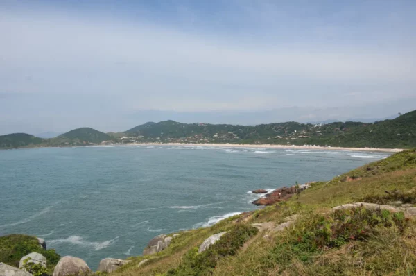 Stunning view of Praia do Rosa’s coastline with lush green hills, gentle waves, and a clear blue sky in Santa Catarina, Brazil.