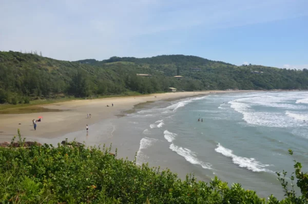 Praia do Rosa features a serene beach with gentle waves, lush greenery, and visitors enjoying the sun in Santa Catarina, Brazil.