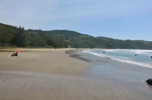 Golden sands stretch along Praia do Rosa, with gentle waves and lush green hills in the background under a clear blue sky.