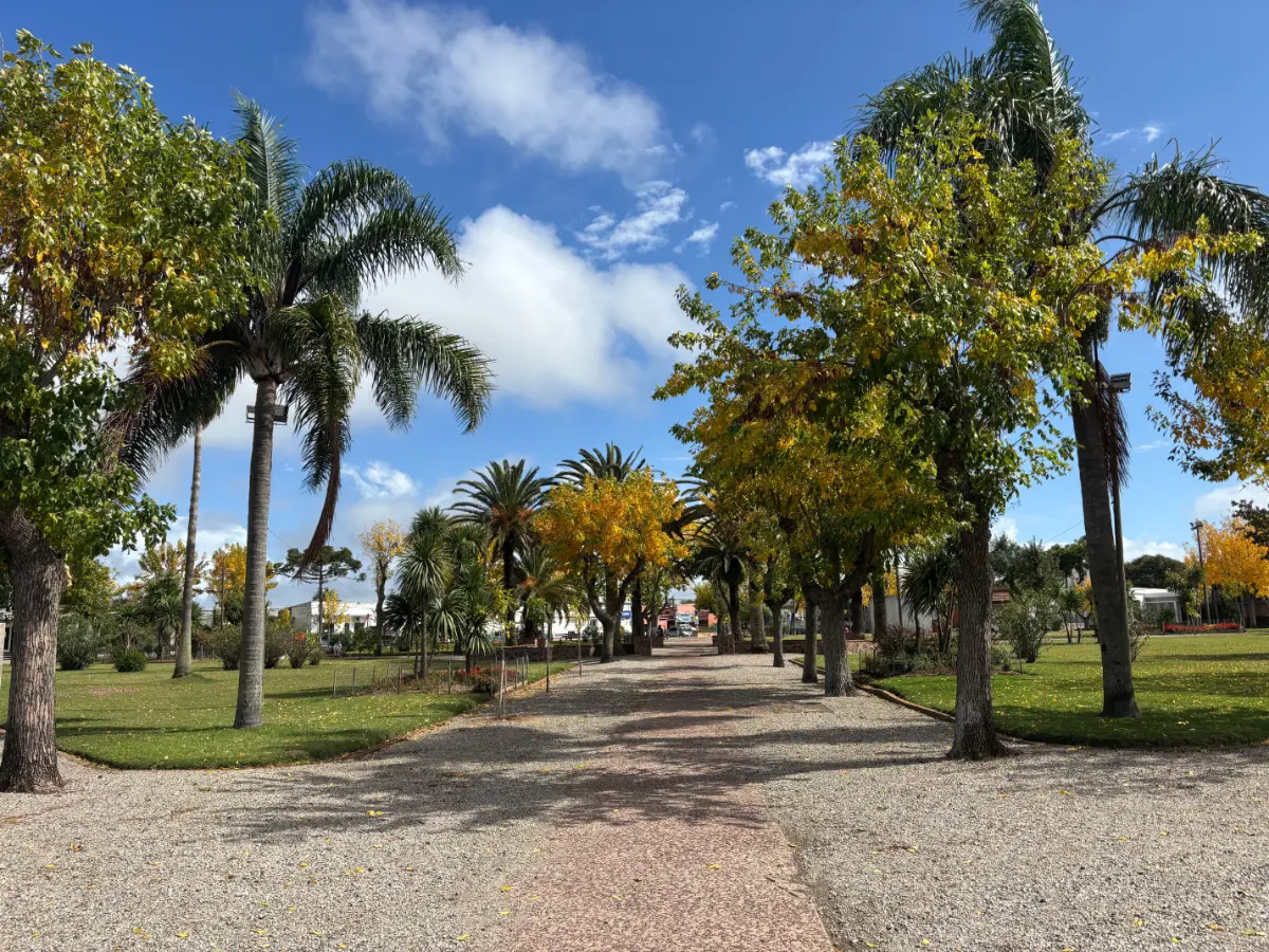 Plaza Ansina in rocha uruguay