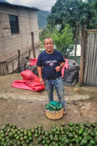 Local vendor standing behind a basket of fresh avocados in San Juan La Laguna, Guatemala, with piles of ripe avocados laid out on the ground.