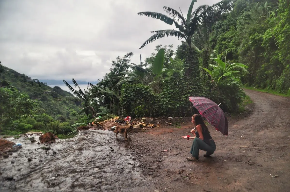 girl with red umbrella calling stray dog in dirt road amid dense vegetation