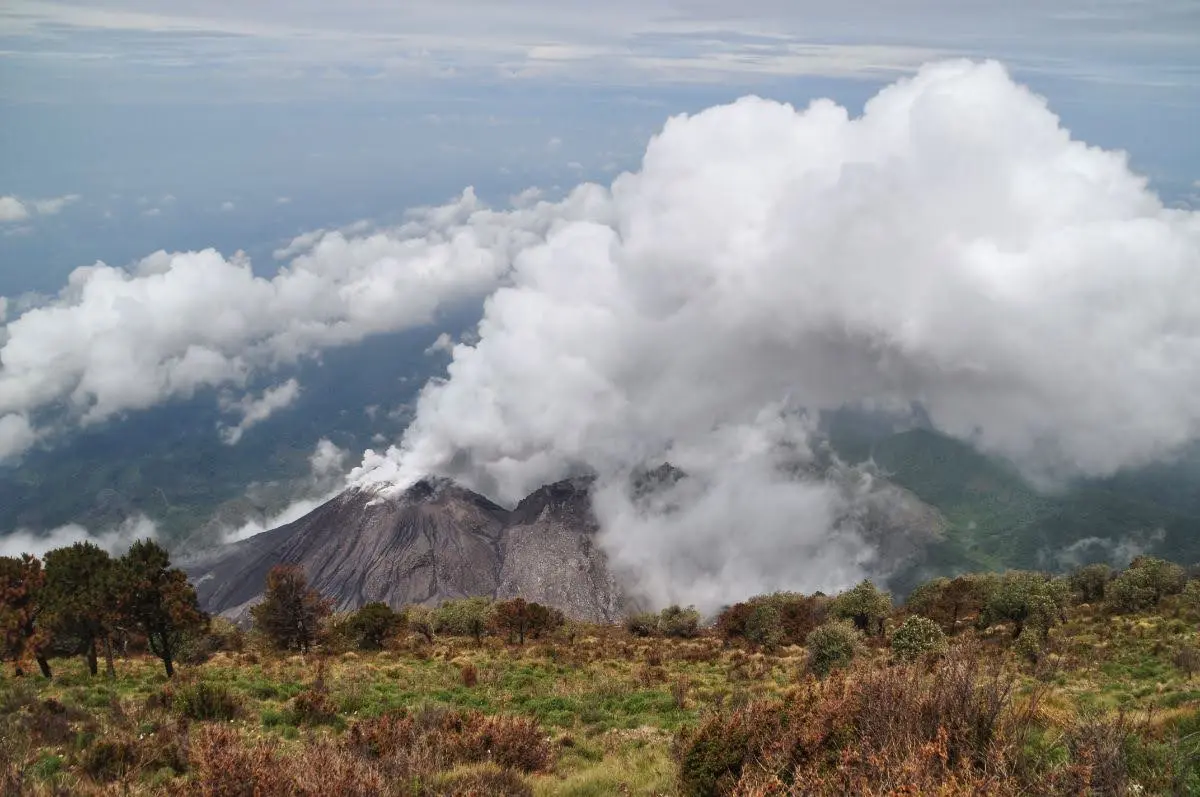 steaming crater santiaguito viewed from the top of santa maria volcano