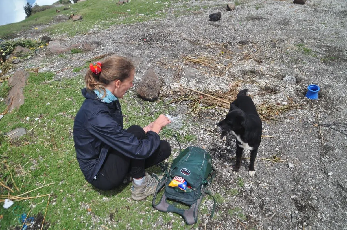 girl feeding a dog on top of santa maria volcano in guatemala