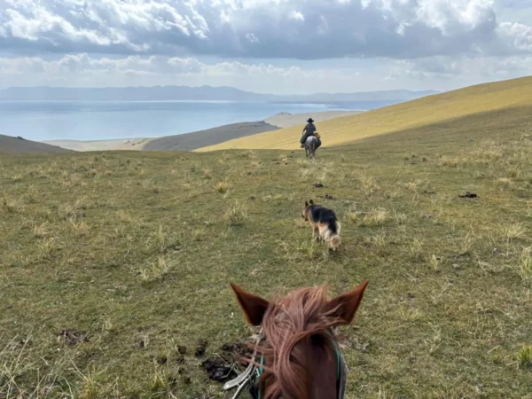 riding horses down a green smooth slope toward son kul lake