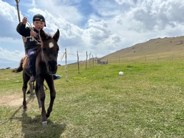 toddler riding a foal in kyrgyzstan