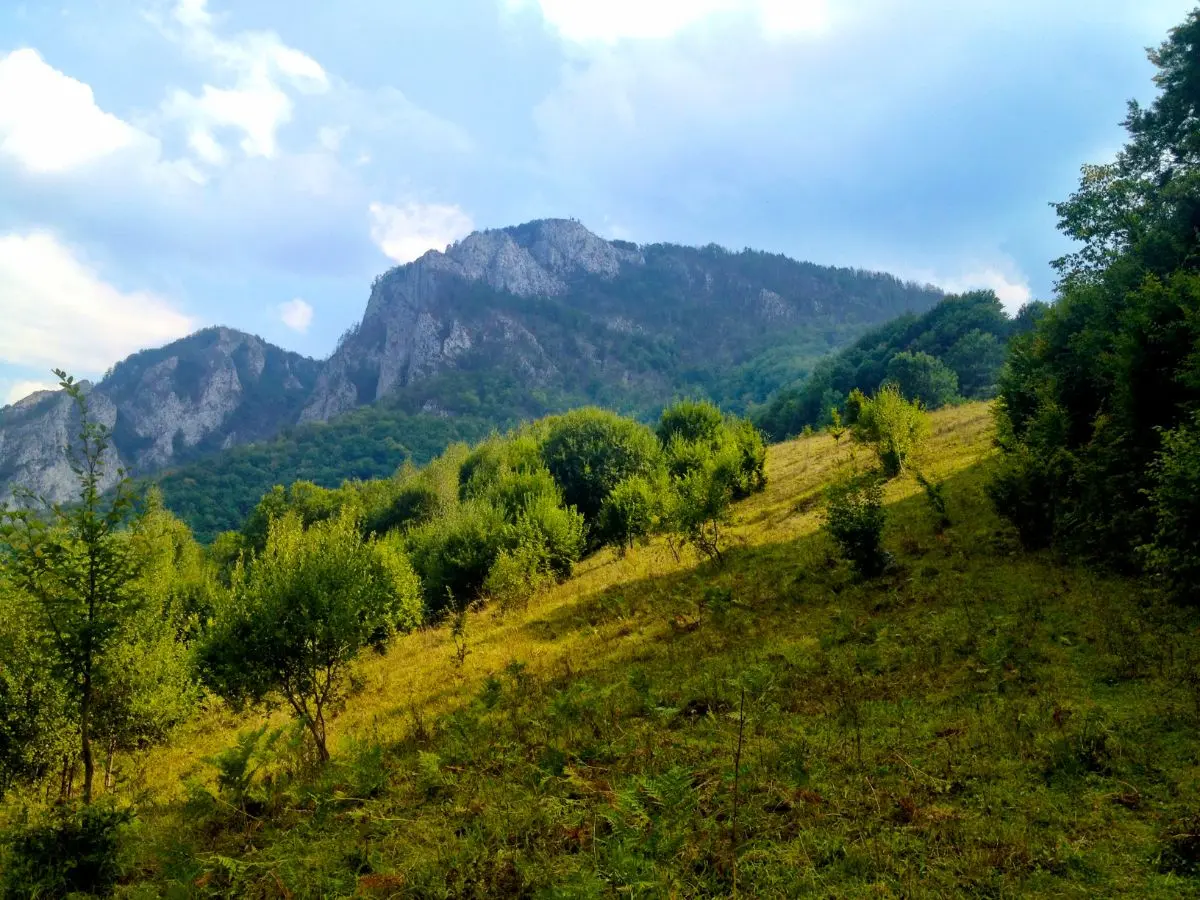 Τα Όρη Απουσένι στην ρουμανια