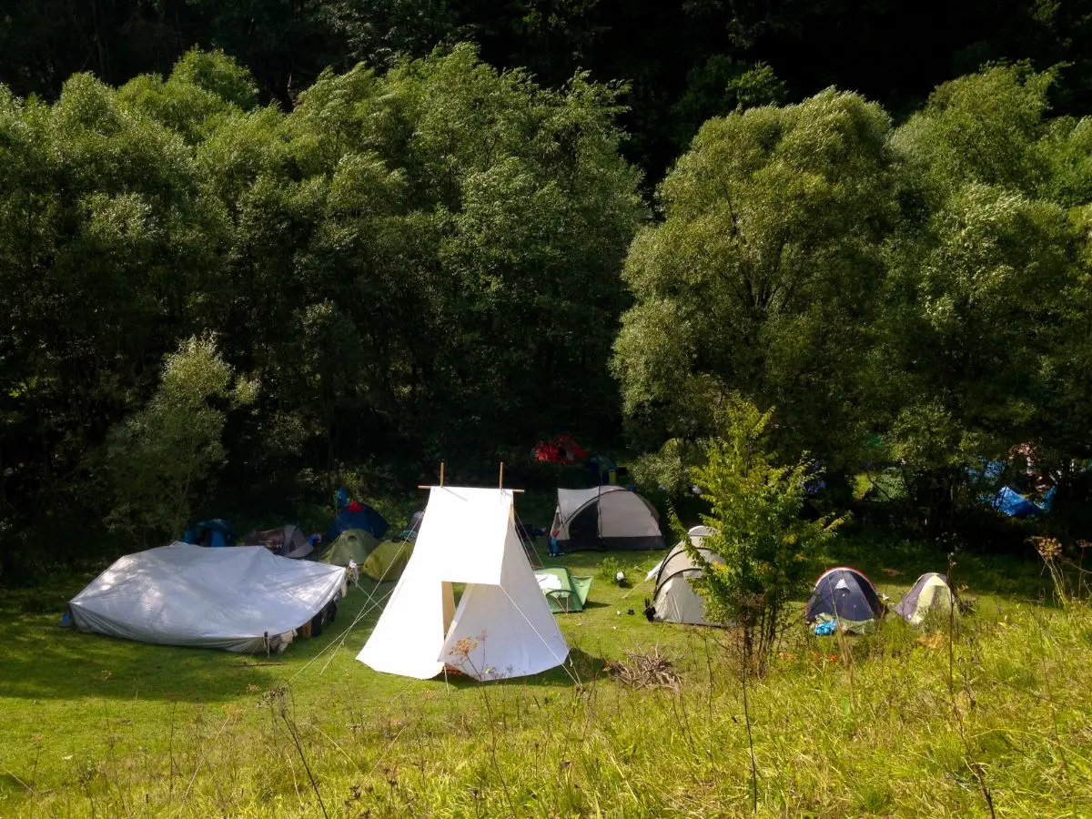 ρειβ παρτι ρουμανια