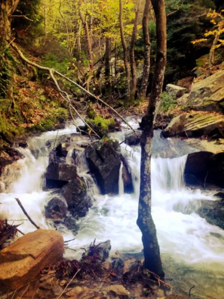 Clear, rushing water cascades over rocks surrounded by vibrant autumn foliage near Xerovouni.